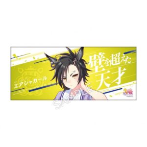 公式応援タオル 【エアシャカール】